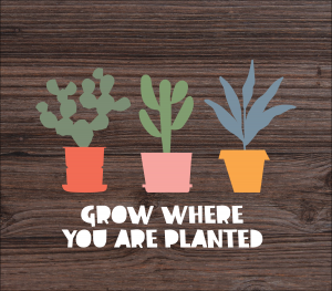 Studio Eighteen Grow where you are planted marketing-01