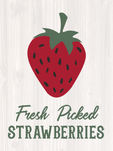 Studio Eighteen U Pick Strawberries Marketing_Artboard 5