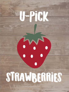 Studio Eighteen U Pick Strawberries Marketing_Artboard 6