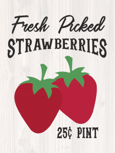 Studio Eighteen U Pick Strawberries Marketing_Artboard 7