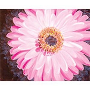 Pink Gerbera Daisy Canvas Kit