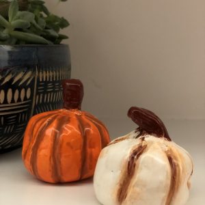 Pumpkin Clay Kit