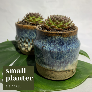 Small Planter with Succulent