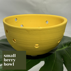 Yellow Berry Bowl