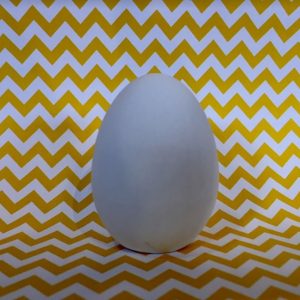 Single Regular Egg
