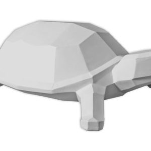 Geometric Turtle